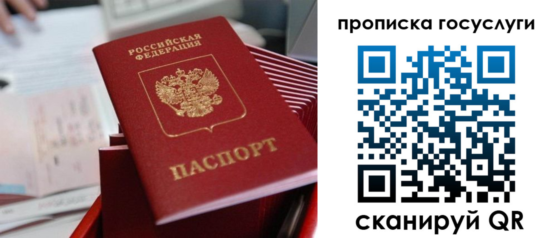 прописка законно в Буйе